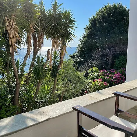 Amazing Seaside In The Location *