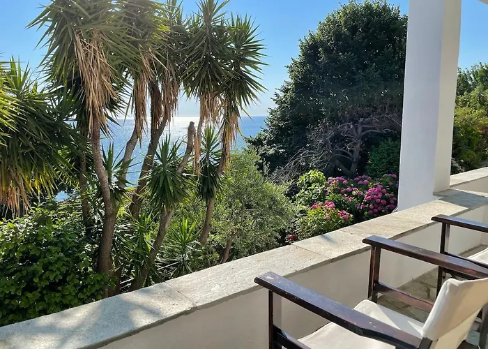 Amazing Seaside In The Location *