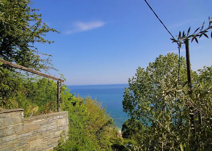 Amazing Seaside In The Location