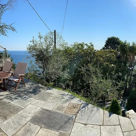 Amazing Seaside In The Location *